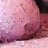 Easy Homemade Blueberry Ice Cream Recipe Only 3 Ingredients