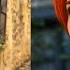 Triss Merigold Cosplay Ball Dress From The Witcher 3 A Matter Of Life And Death Quest