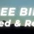 Lynyrd Skynyrd Free Bird Slowed And Reverb