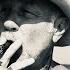 Metallica James Hetfield The 72 Seasons So What Interview
