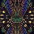 Fungus Funk Assioma Fractal Funk