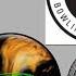Hammer Rip D Hybrid 3 Testers 2 Patterns Review By TamerBowling Com