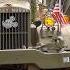 Feel The Engines Roar See WW2 Vehicles In Action