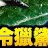 美军太平洋潜艇全军出动对战中共 美台海巡协议日 印 澳一旦加入 将形成两大洋合击中共海上扩张的第二海军 台海战与不战为什么是中共历史老大难问题 江峰漫談20210330第300期