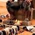 Egypt Pyramid Monster Giant Danger Dinosaur Alien