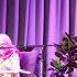Patti Maxine Blue Hawaiian Moonlight 2018