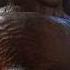 See Our African Gods This Is Mumbi Of The Kikuyu Tribe Africa