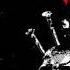 Witch King USA Black Death 2013 Conjuration Of Bestial Forces Full Demo
