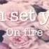Panic At The Disco Crazy Genius LYRIC VIDEO