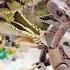 LEGO Jurassic World Giganotosaurus Therizinosaurus Attack 76949 810 Pcs Shorts TBB