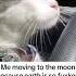 Cat Driving Memes Meme Moon Cat Driving Tiktok Funny Youtubeshorts Earth Laugh Haha Fun