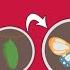 Life Of A Butterfly The Dr Binocs Show Learn Videos For Kids