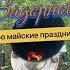 задорнов Про майские праздники Еще празднуете