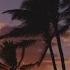 Sunlight Project Maui Original Mix Music Video Sunlight Tunes