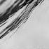 Undyed I See That You Don T See Instrumental Mix