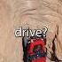 DIFFERENCE BETWEEN 4WD AND AWD Cars Jdms Racing Awd 4wd