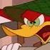 Woody Woodpecker Woody Wally Go To War Full Episodes