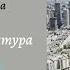 Обществознание 11 кл Бoгoлюбoв 12 Социальная структура общества