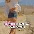Some Nonsense Things SPOTTED In Sabrina Carpenter Manchild Video