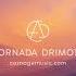 Tornada DRIMOTA 2025 Drum Bass Official