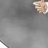 The Beat Crusaders Tonight Tonight Tonight Bleach Opening 4 Full