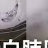 中國疫情再掀 白肺 風暴 從嚴格清零變成全面解封 中國官媒10月才稱 躺贏不可能 兩個月後直接躺平 黃創夏諷全世界有毒共享 呂惠敏主持 鄭知道了 完整版 20221230 三立iNEWS