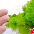 Let Me Show You An Easy Way To Catch BIG Fish From The Bank