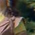 Melanie Martinez WALKIE TALKIE EXTENDED