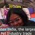 Petex India Expo 2023 Pet Products Expo At Hitex Exhibition Centre Hybiz Tv