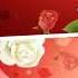 Million Roses English Sub Trieu Bong Hong Tieng Anh
