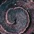 Monophase Culture Kind I M Ready Ft Afnan Prince