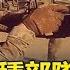 美俄在敘利亞的特種部隊對決 普丁 高加索之狼 千里奔襲大復仇 關鍵時刻 20171013 1 朱學恒 王瑞德 馬西屏 劉燦榮 黃世聰
