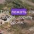 1032 Часів яр Mavermusic Remix новамузика чоткийпаца