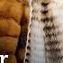The Problem With Fur