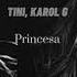 Tini Karol G Princesa Slowed Reverb