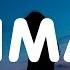 Maroon 5 Animals Lyrics Dermot Kennedy Ariana Grande Imagine Dragons