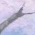 MV Yami No Matsuei