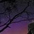 WONDERFUL WONDERFUL Johnny Mathis Lyrics