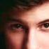 Shawn Mendes Don T Want Your Love