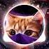 Antomage Sarah De Warren Astronomy Magic Nightblue Co Release