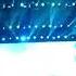 Darude Sandstorm Performed By Dash Berlin Live At Medusa Festival Mexico 2019