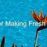 Background Music For Cooking At Home