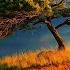 Beautiful Relaxing Music Playlist By Yellow Brick Cinema 24 Hours Of Healing Sleep Meditation