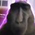 Monkey Rizz Monkey Rizz Edit Emoji Funny Shorts