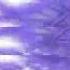 Purple Maze Deliaa