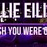 Billie Eilish Wish You Were Gay Slowed Down