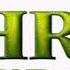 18 To The Dragon S Keep Fiona Is Gone Shrek Forever After Complete Score