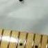 GFS GUITARFETISH Telecaster Style Build Project Part 1