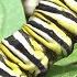 How A Caterpillar Becomes A Butterfly The Dodo