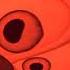 RED FISHEYE ROBOT VOICE BACKWARDS Gummibär REQ VIDEO HD Turkish Gummy Bear Song
